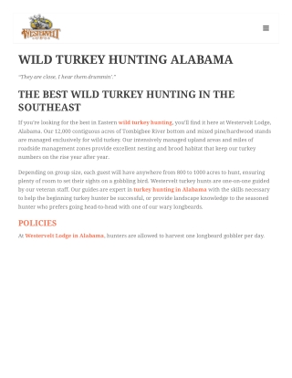 WILD TURKEY HUNTING ALABAMA