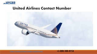 United Airlines Contact Number(Toll Free)