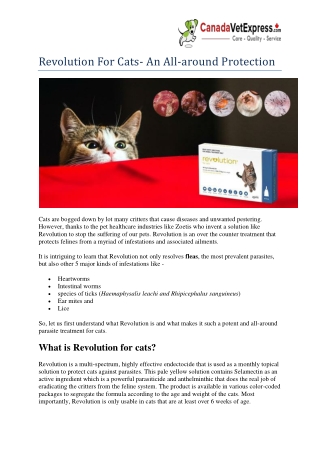 Revolution For Cats- An All-around Protection