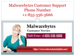 MalwareBytes Technical Support Number 1-855-536-5666