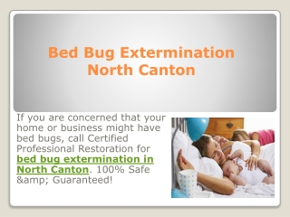 Bed Bug Extermination North Canton