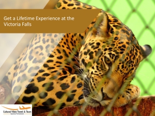 Get a Lifetime Experience at the Victoria Falls