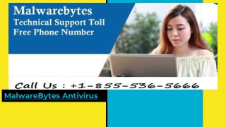 MalwareBytes Technical Support Phone 1-855-536-5666 Number