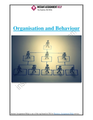 Requirements of Organisation And Behaviour