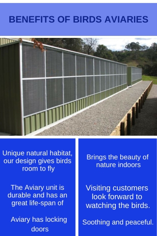 Benefits Of Birds Aviaries