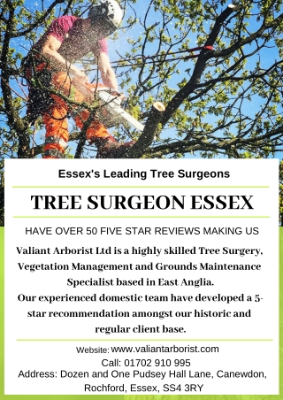 We are Specialist Tree Surgeon in Essex