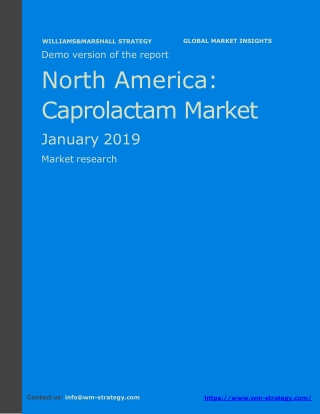 WMStrategy Demo North America Caprolactam Market January 2019