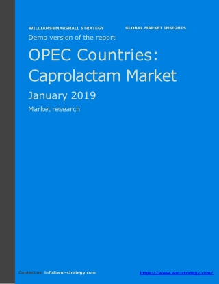 WMStrategy Demo OPEC Countries Caprolactam Market January 2019