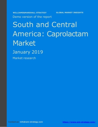 WMStrategy Demo South and Central America Caprolactam Market January 2019