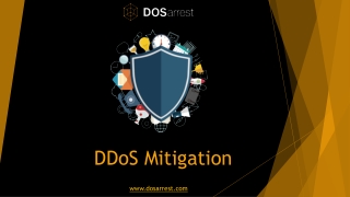 DDoS Mitigation