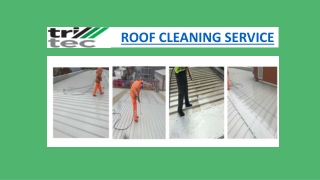 Roof Cleaning Services in Essex