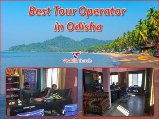 Best Tour Operator in Odisha - Visakha Travels