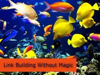 Link Building Without Magic or Link Building the Aquarium Way