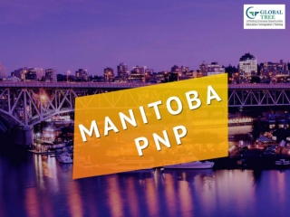 Manitoba Immigration Consultants in India - Global Tree