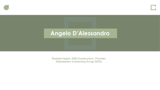 Angelo D’Alessandro - Experienced Professional From Michigan