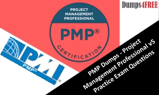 2019 PMI PMP Exam Questions Dumps