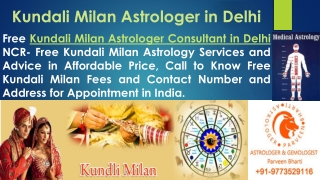Kundali Milan Astrologer in Delhi