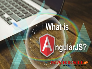 What Is Angular JS ?