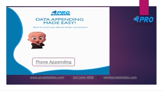 Phone Appending | Phone Appending Services | Phone Append