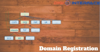Get your Domain Registered at Digi Interface