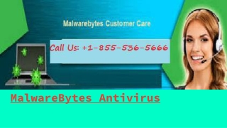 MalwareBytes Technical Support Number 1-855-536-5666