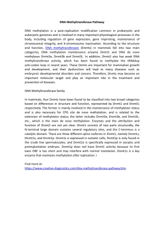 DNA Methyltransferase Pathway