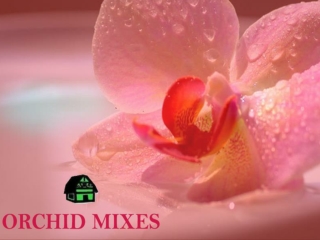 Find great orchid mixes shop from Green barn Orchid Supplies