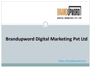 Digital Marketing company in Pune|Online Marketing-Brandupword