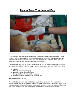 Tips To Treat Your Injured Dog | Doo Care