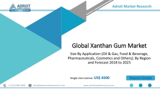 Global Xanthan Gum Market Size, Share , Price Analysis Report 2025