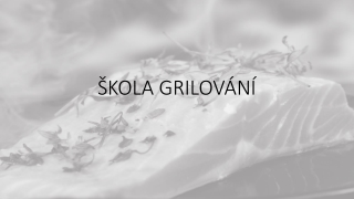 Škola grilování