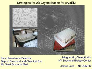 Strategies for 2D Crystallization for cryoEM