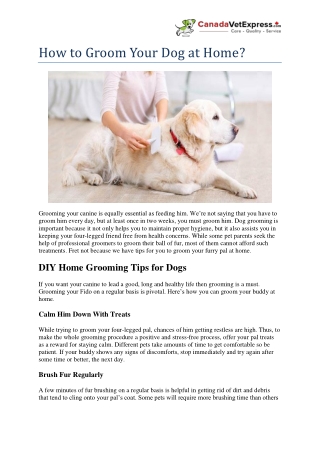 How to Groom Your Dog at Home?