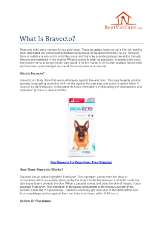 What is Bravecto?