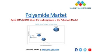Royal DSM (Netherlands) and BASF SE (Germany) are the leading players in the Polyamide Market