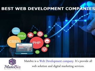 Hiring a Web Development Company for Batter Business