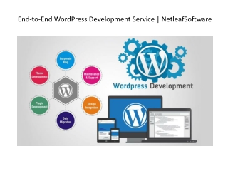 End-to-End WordPress Development Service | NetleafSoftware