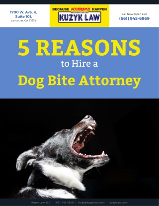 5 Reasons to Hire a Dog Bite Attorney