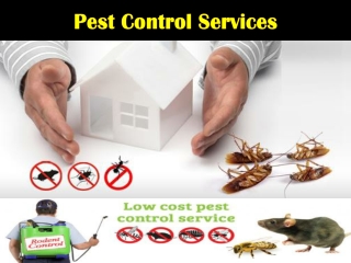 Pest Control Services