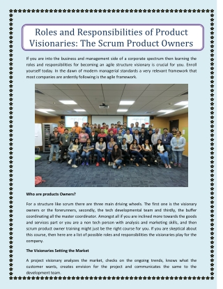 Roles and Responsibilities of Product Visionaries: The Scrum Product Owners