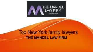New York Top Family Lawyers
