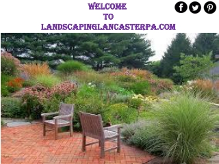 Landscape Maintenance Services