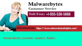 MalwareBytes Customer Support Number 1-855-536-5666