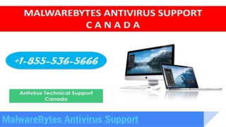 MalwareBytes Technical Support Number 1-855-536-5666