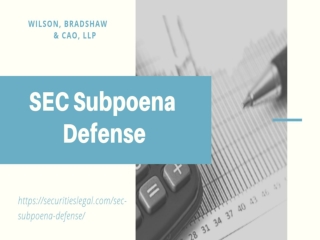 SEC Subpoena Defense