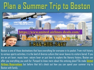 Plan a Summer Trip to Boston