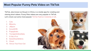Most Popular Funny Pets Video on TikTok