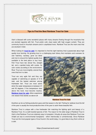 Tips to Find the Best Rainbow Trout for Sale