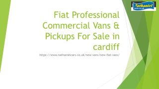 Fiat Professional Commercial Vans & Pickups For Sale in cardiff