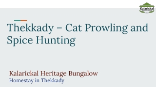 Thekkady- Cat Prowling and Spice Hunting